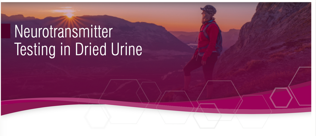 Understanding Neurotransmitter Testing: The Missing Link in Personalised Mental Health Care