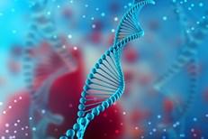 Genetic Sequence Variations and Breast Cancer Risk