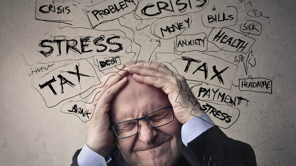 How Stress Shapes the Brain: The Time-Sensitive Impact of Hormones on Memory and Learning